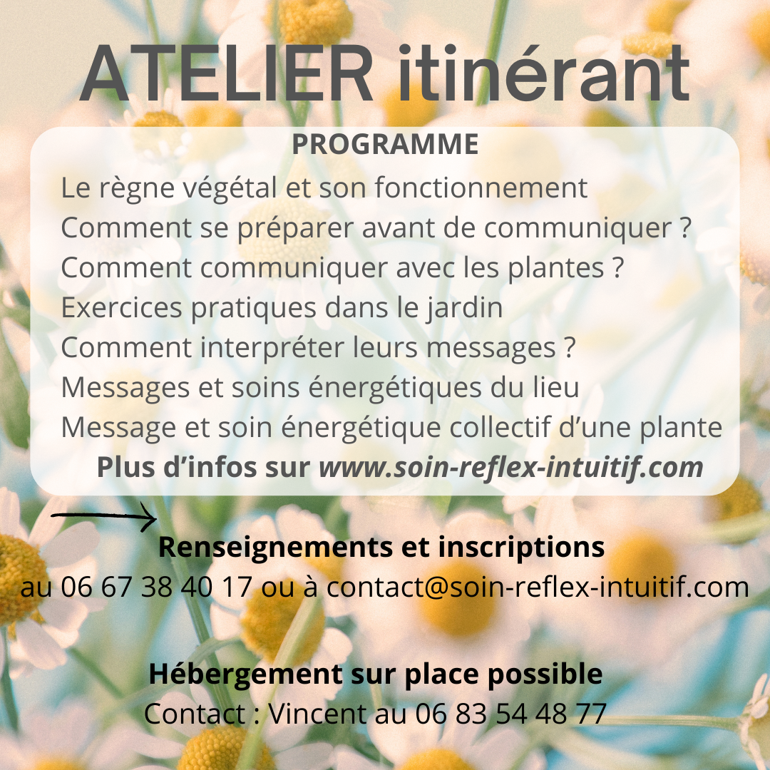 Atelier plante programme 1