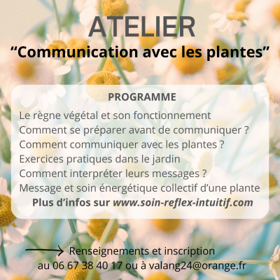 Atelier plante programme